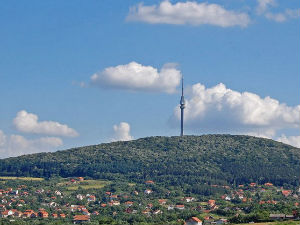Добро јутро децо