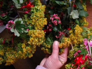 Романо Тхем