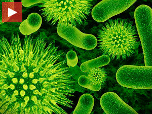 Бактерије у потрази за скривеним минама?