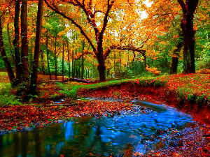 Добро јутро децо