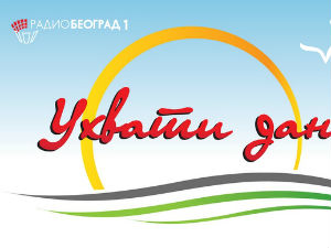 Ухвати дан