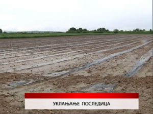 Дневник