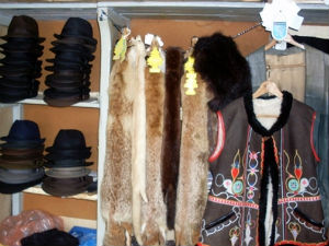 Добро јутро децо