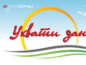 Ухвати дан