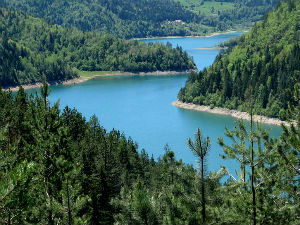 Жандармерија и даље трага за рониоцем