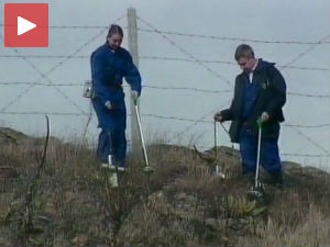 Лекари против нуклеарног оружја