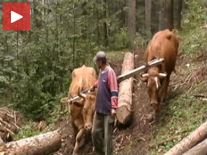 Рабаџијски занат незамењив