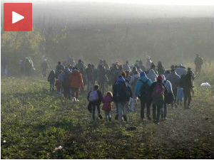 Хиљаде избеглица прешло у Хрватску код Беркасова