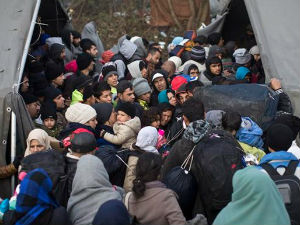 Србија може да прими 3.000 избеглица