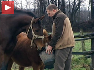 Српска ветерина годинама у заостатку за Европом