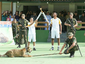 Убијен јагуар који је учествовао у олимпијској церемонији