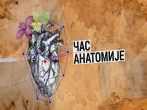 Час анатомије: Живот с Југославијом, некад и сад 