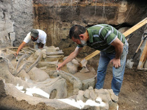 Случајно открили скелет мамута стар више од 10.000 година!