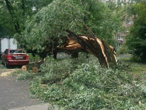 У олујном невремену у Москви девет повређених