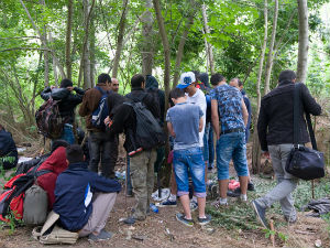 Разбијен ланац кријумчара миграната у Италији