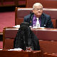 Лидерка аустралијске деснице носила бурку у Сенату