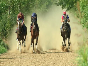 Ергела Љубичево: Најстарија, највећа и најтрофејнија