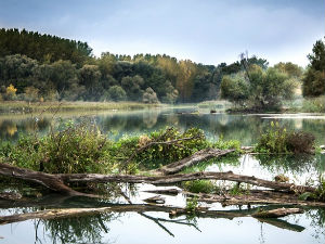 Црни уместо зелених киловата?