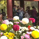 У Кини су хризантеме симбол среће