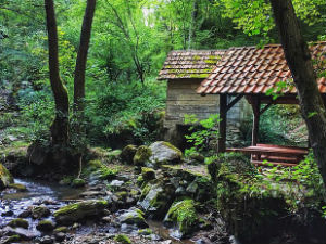 Мали зелени рај - Луковска бања