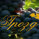 Резидба - окупљање винара и виноградара