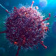Старење имунског система и вирусне инфекције