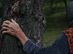 „А сад се спушта вече“ најбољи кратки филм фестивала у Дараму