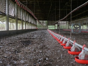 Швеђани окупљање спречавају – смрадом