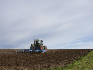 Имају ли ратари разлога да страхују за овогодишњи род