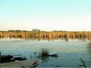 Лудошко језеро и авантуре хајдука Роже Шандора