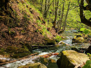 Реке, планине и други топоними наше земље 