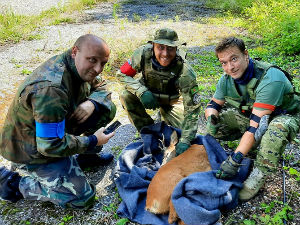 Момци из ерсофт клуба играли се пуцања и спасли залуталог срндаћа