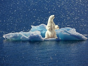 Лед се истопио – нема санти ни на путу за Северни пол