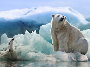 Свет за 23 године изгубио 28 билиона тона леда, до краја века мора виша за метар