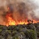 Ватра уништава екосистем Килиманџара