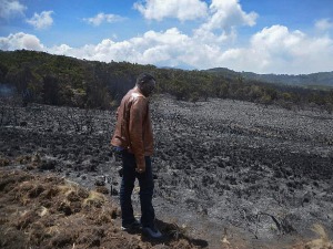 После шест дана, пожар на Килиманџару под контролом