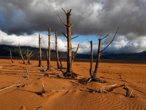 Скакавци, суше, поплаве - усеви у Африци озбиљно угрожени