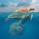 Милион тона пластике убацили смо у Средоземно море, а бацамо и даље