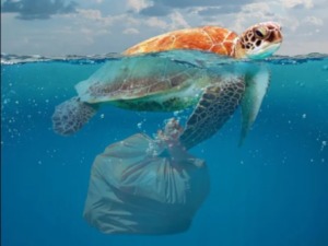 Милион тона пластике убацили смо у Средоземно море, а бацамо и даље