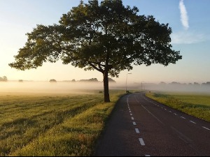 У већем делу земље сунчано, од петка спремите кишобране