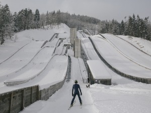 Од клопке до борбе петлова - ово су најбоље фотографије конкурса „Прес фото Србија"