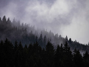 Облачно и хладно, на југу и југоистоку могућ слаб снег