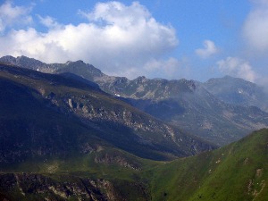 Мрмољци, руњевица, дивизма... На Дан планина, подсетимо се какво богатство крију