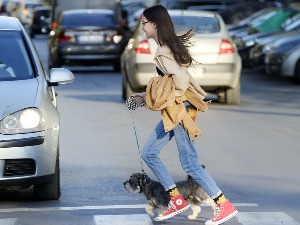 Овај град се спрема да се специјално прилагоди -  љубимцима