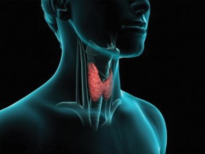 Симптоми поремећаја рада тироидне жлезде личе на оне код ковида али се не јављају нагло 
