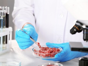 Месо из лабораторије