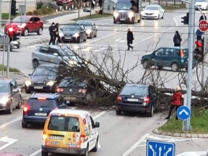 Пало дрво на аутомобиле у Бањалуци