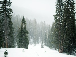 Снег, понегде ледена киша, на југу црвени метеоаларм