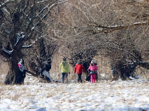 Слаб снег широм Србије, за викенд стиже ледени ваздух са севера