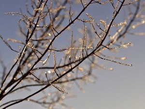 Суво и облачно, за викенд ледени дани